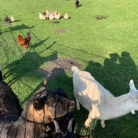 R&m Boutique Lijnden